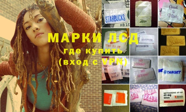 a pvp Баксан